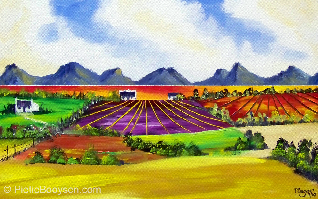 Fields in colour by Pietie Booysen